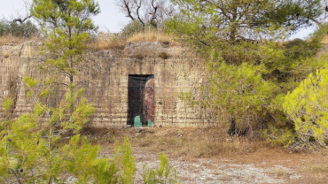 Gallery item